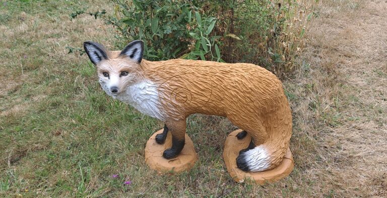 Renard